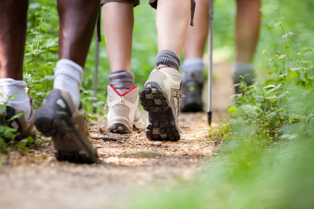 Hikers in trail boots walking a dirt path through the woods